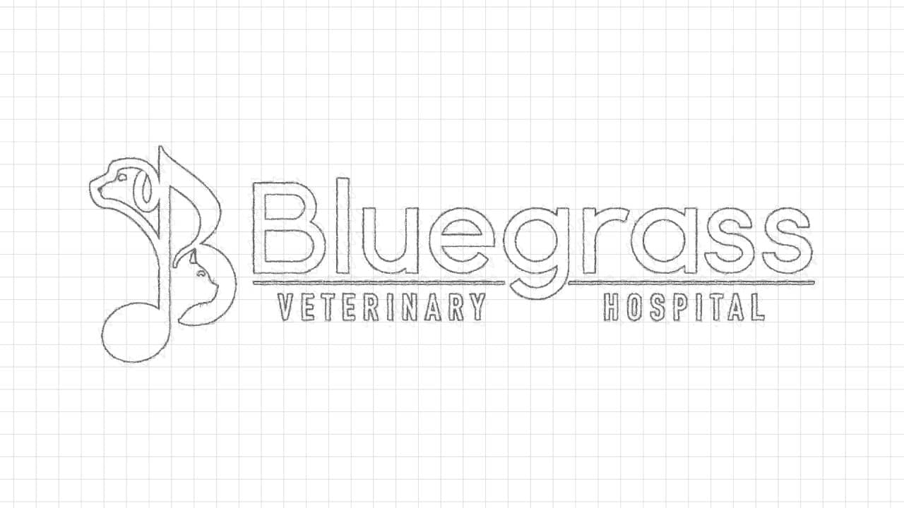 Bluegrass Veterinary Hospital Case Study