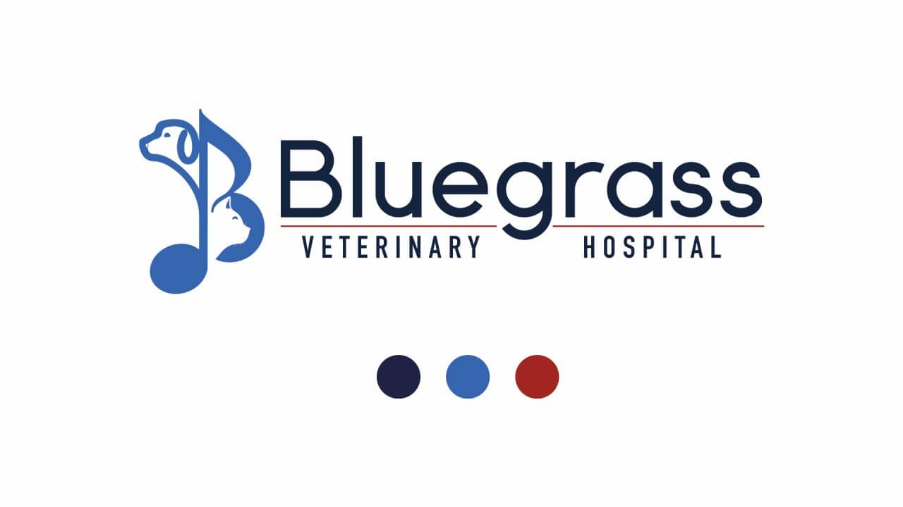 Bluegrass Veterinary Hospital Case Study